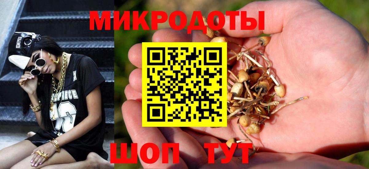 Галлюциногенные грибы прущие грибы Скопин
