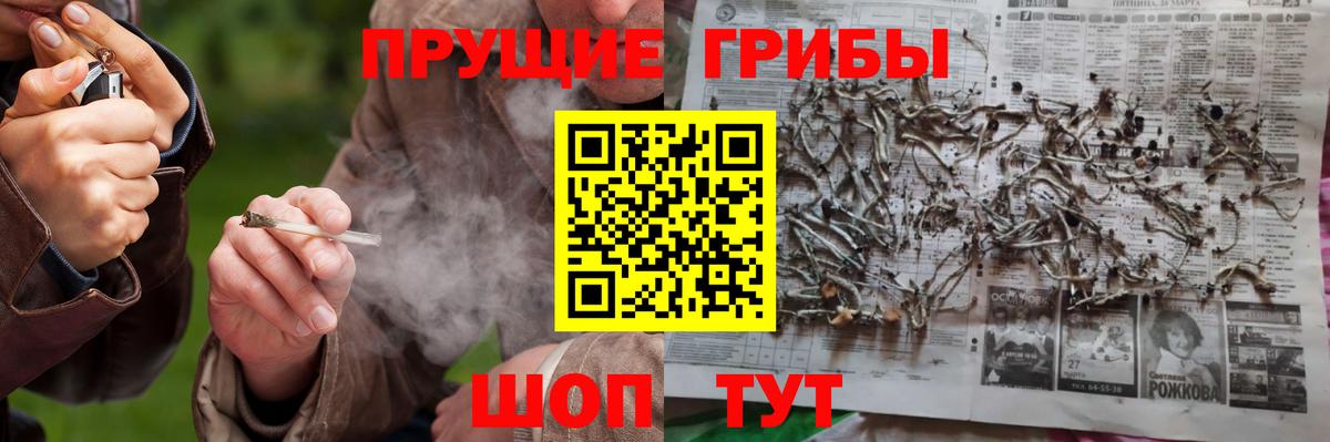 Псилоцибиновые грибы мицелий  Псилоцибиновые грибы GOLDEN TEACHER  Вход с VPN  Скопин 